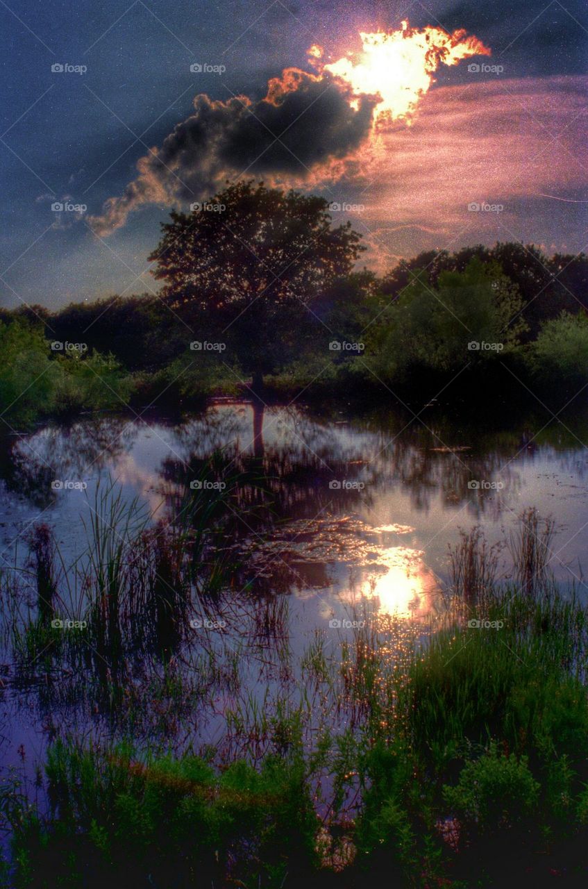 setting sun over pond