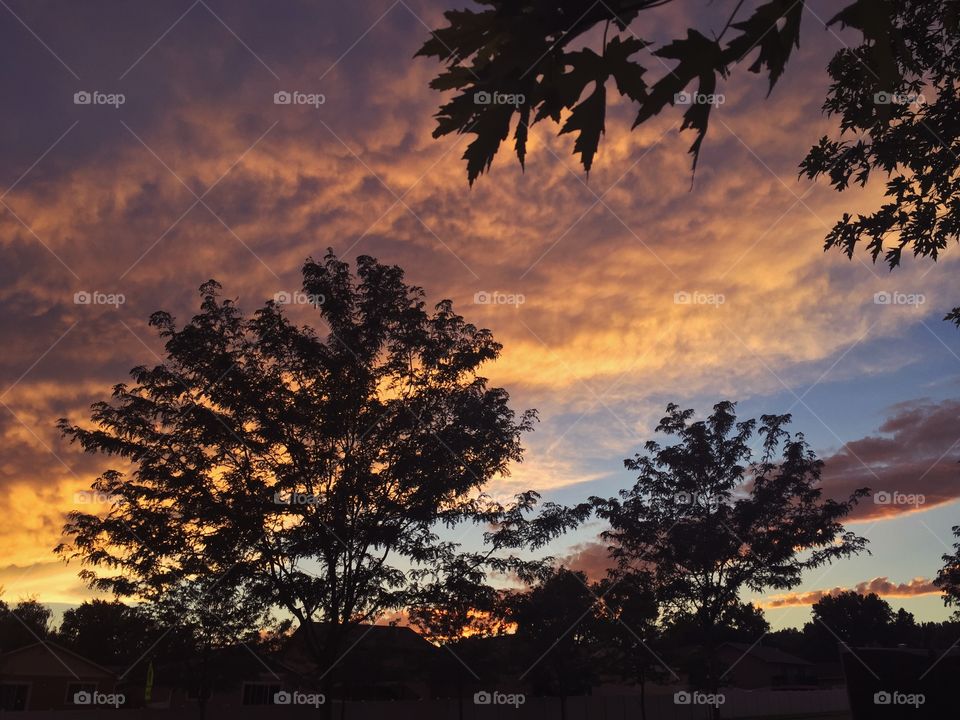 Beautiful sunset filled with colorful clouds and the silhouettes of trees 