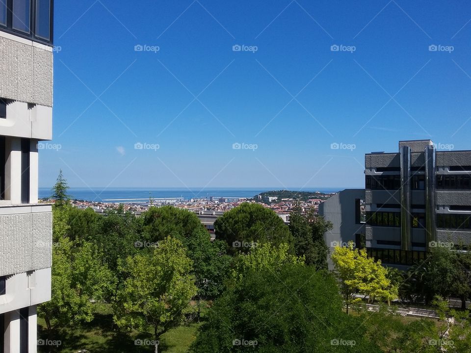 buildings and sea