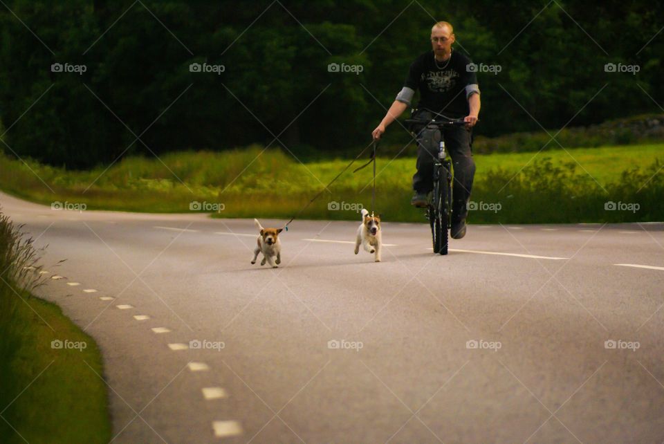 Man with dogs. Man out riding his bike together with the dogs