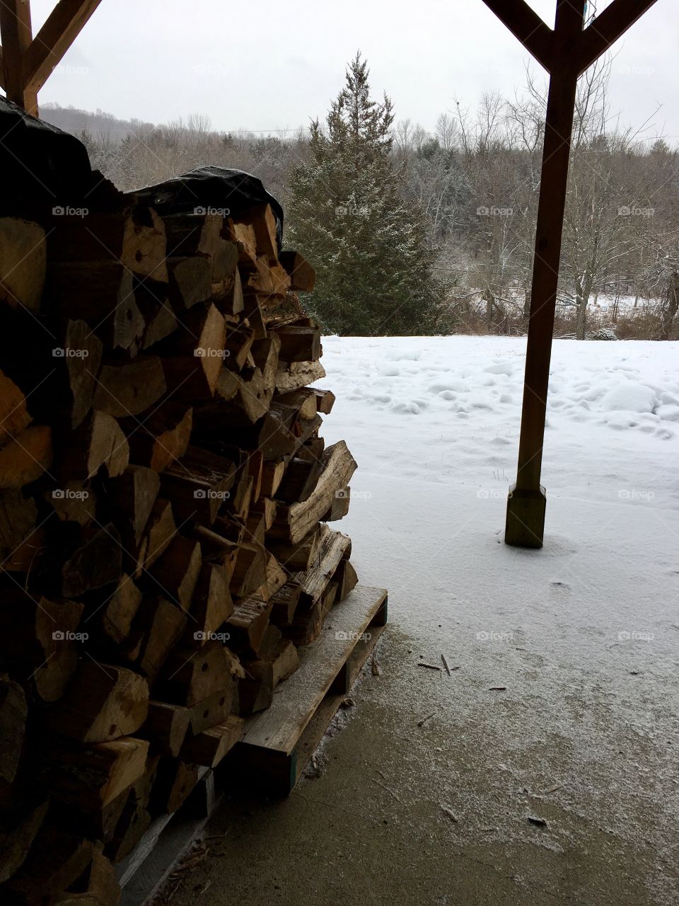 Winter heat, wood stove supply