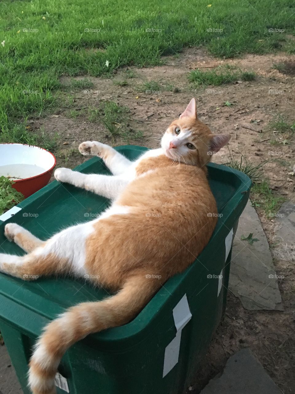 Mom why are the kids shooting off fireworks  before dark? And just how long is this gonna take?
