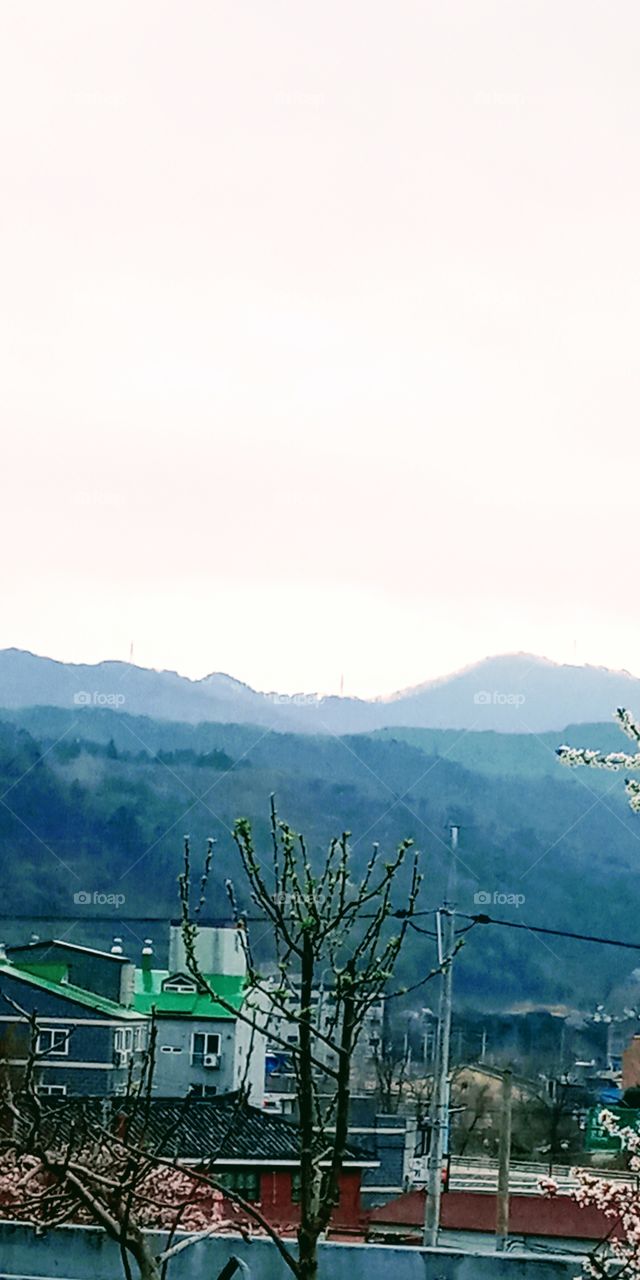 the refreshing view of natures after the rain.