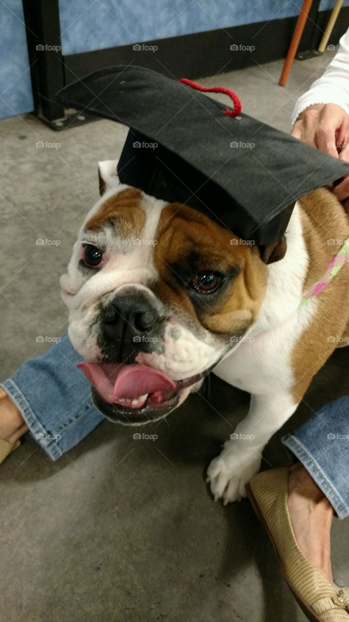 Graduation! 