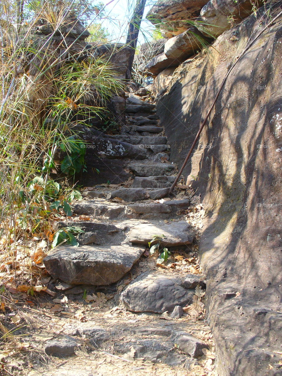 Nature, Water, No Person, Wood, Environment