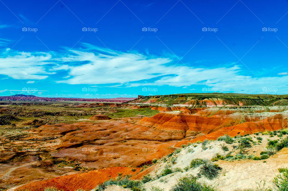 Painted Desert 9