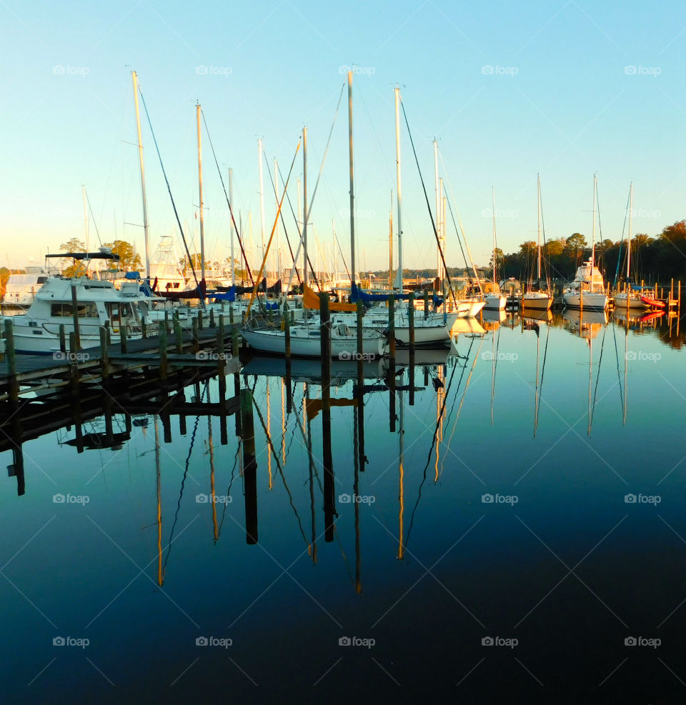 Supreme Sailing Weather!
Sailboats sit idle in the early morning sunlight!