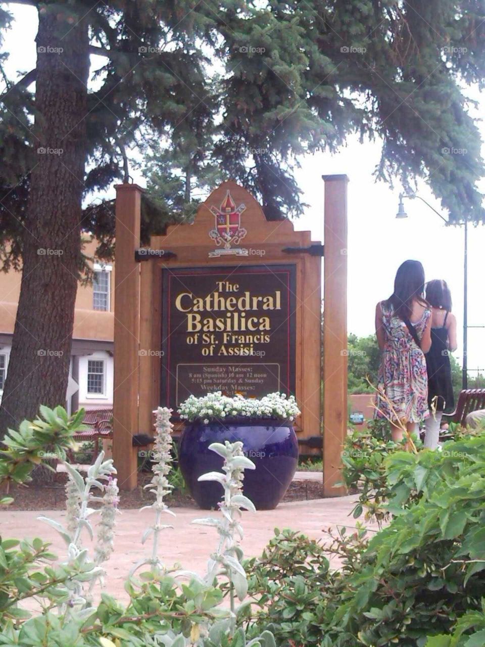 The Cathedral Basilica of Saint Francis