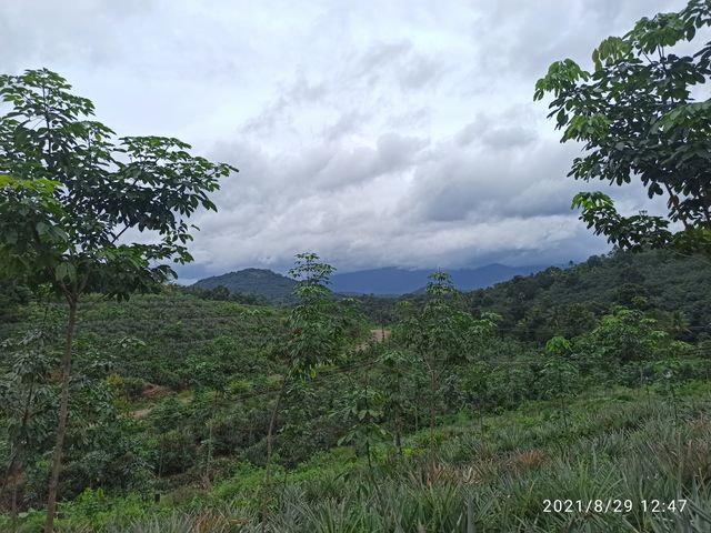 mundakayam
