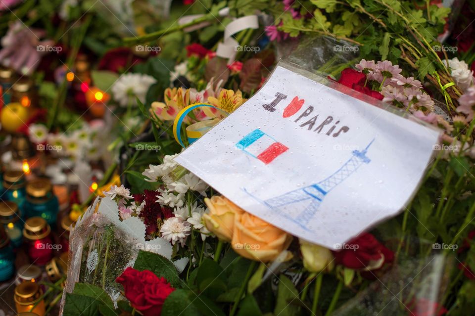 solidarity, peace for Paris, of mourning, pray for Paris, Paris, French, flag, pray, prayer, emblem, sign, symbol, Europe, religion, faith, salvation, attack, terrorists, the Eiffel tower, the hostages, the explosion, shooting, attack, blow, candle, respect, Embassy, France, Ukraine, war, citizens, the sympathy, the French language, the French, died, sad, injured, people, nation, terrorist, victim, critic, evil, Kiev, killed, put, murder, politics, horror, Ukrainian, violence, draw, drawing, child,