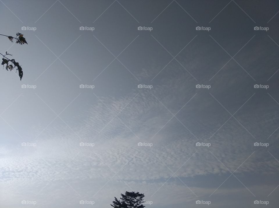 cloud ☁️☁️ in the sky