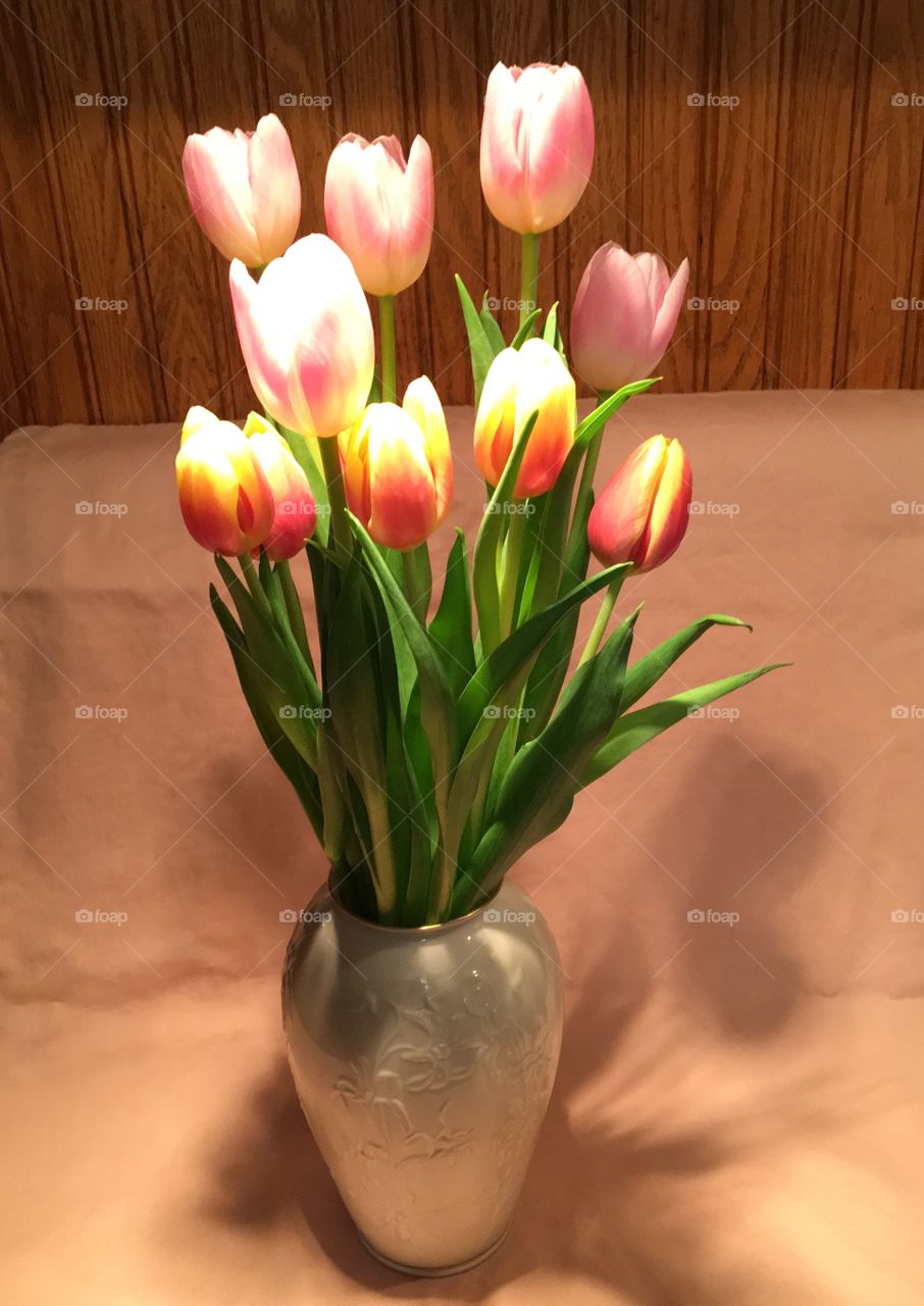 Tulips! My favorite flower. They speak of the promise of Spring and warm sunny days to come!