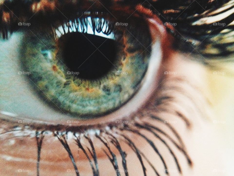 Macro shot of a person's eye