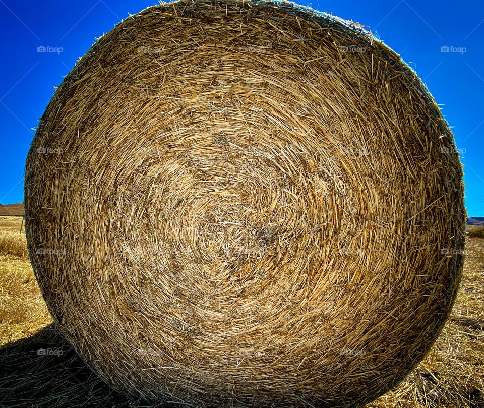Rolled up bale of hay