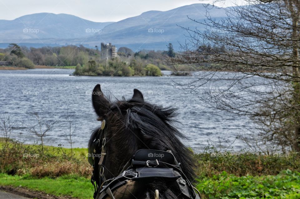 Out & about in Ireland