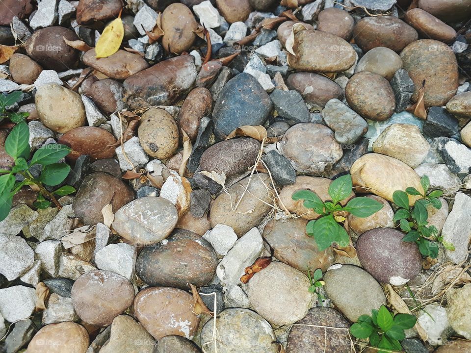 small rock garden