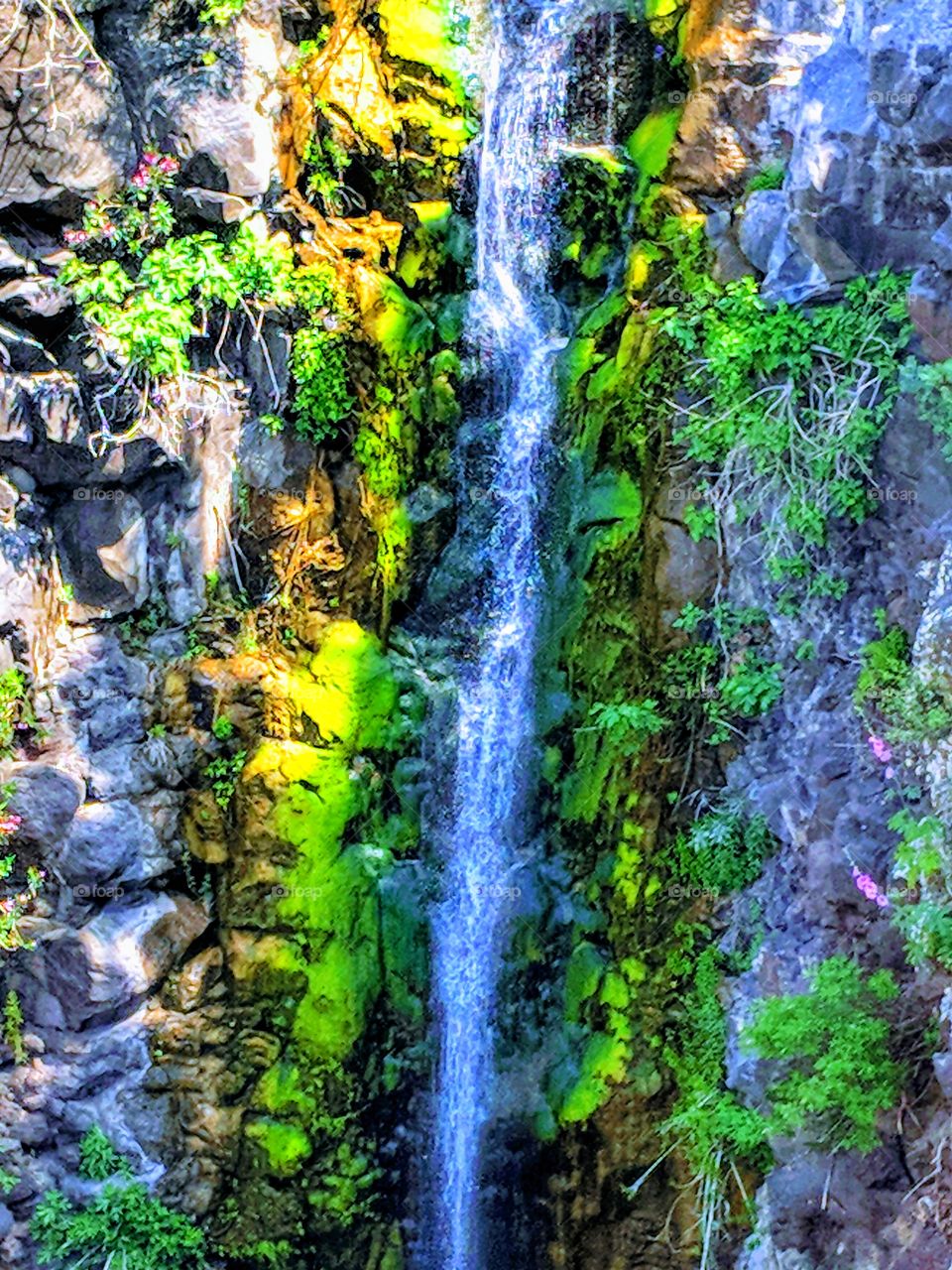 Wonderful spring waterfall in the heart of Yahudiha Nature Reserve