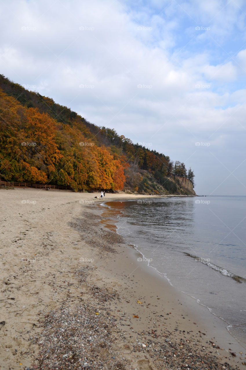 Water, Landscape, No Person, Beach, Nature