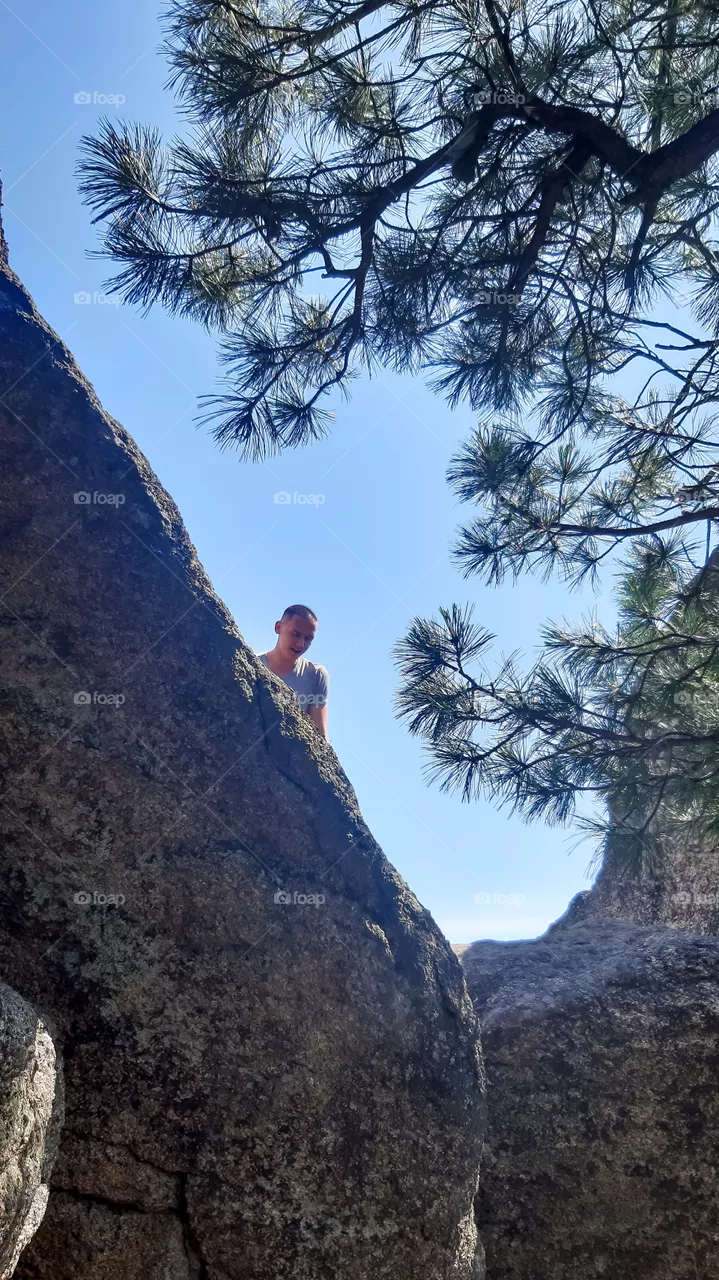 Nature.