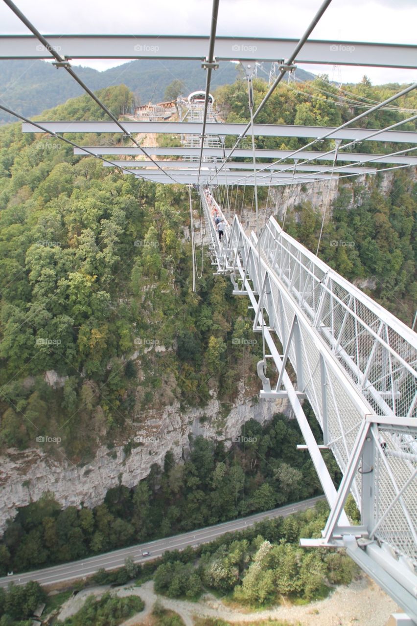 Bridge, Travel, Tree, Nature, Water