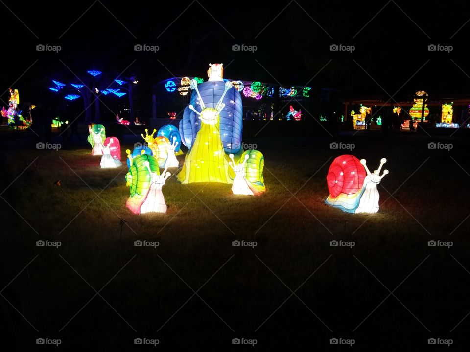 Snails at Chinese Lantern Festival
