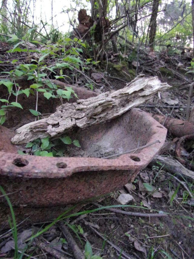 Metal waste lounging amongst nature