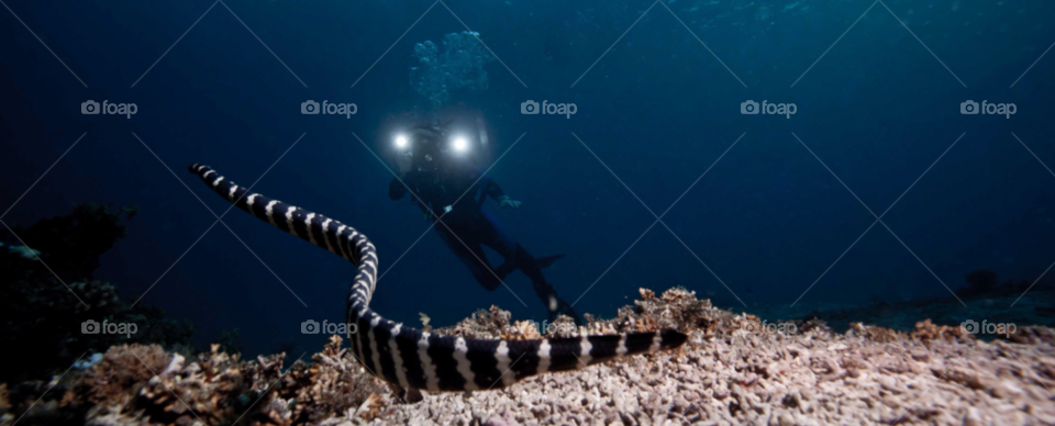 lights philippines underwater scuba by paulcowell