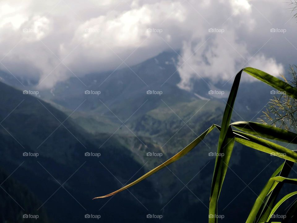 Cloudy day in countryside