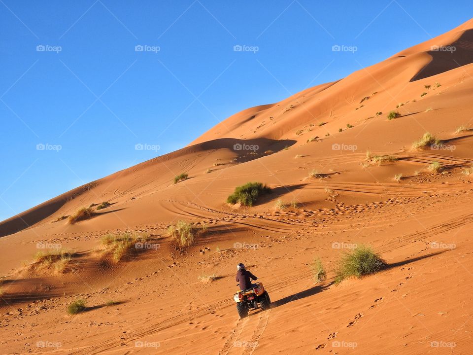 Quad in the desert