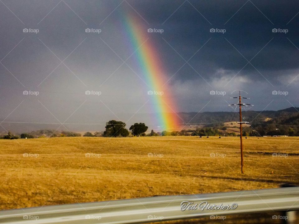 California Rainbow