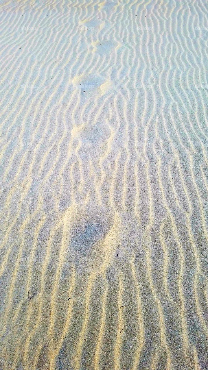 Footprints on the sandy beach