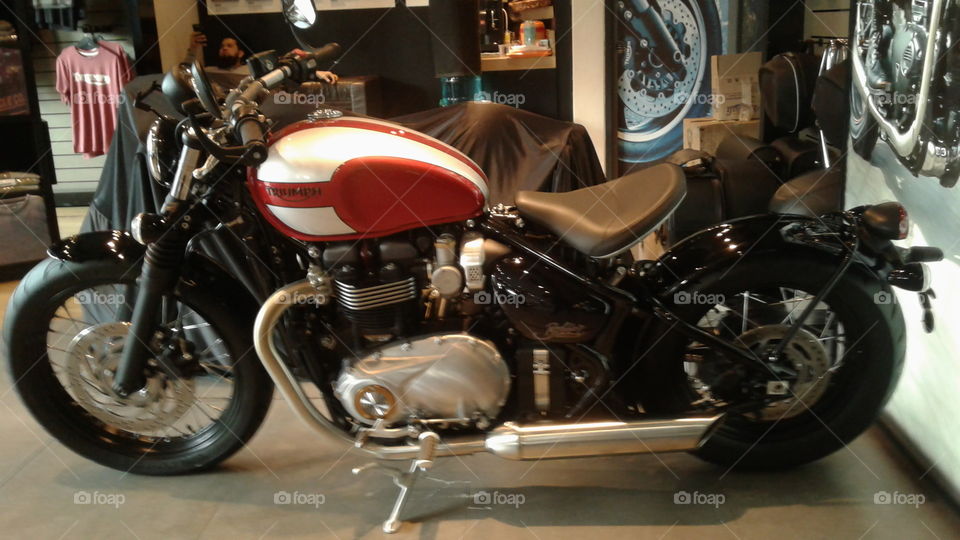 Triumph Bikes