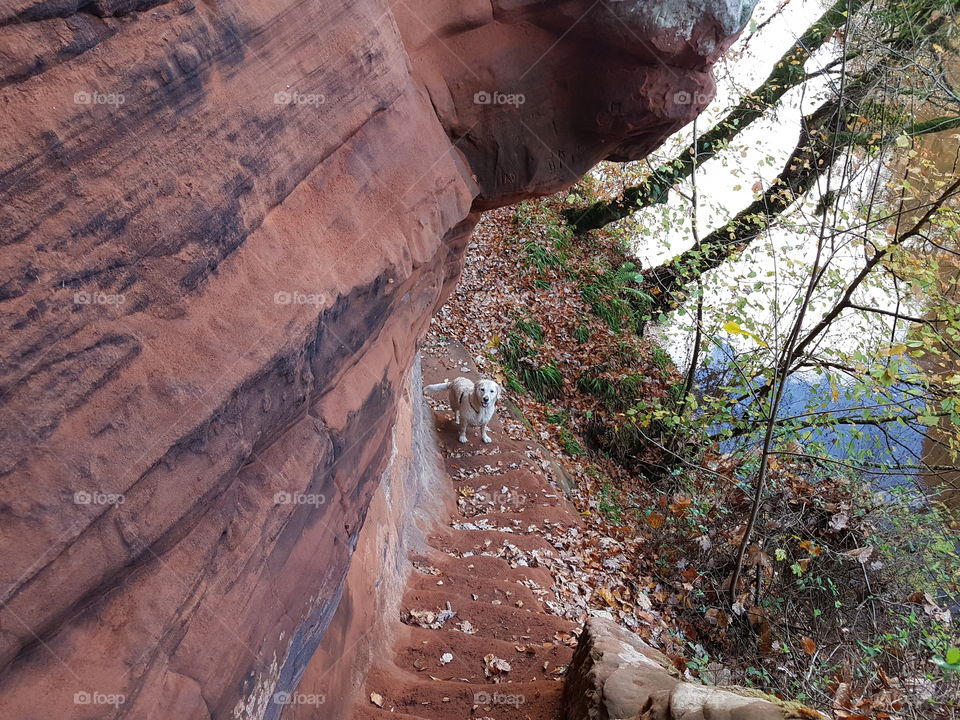 stairs in sandstone at failford Scotland