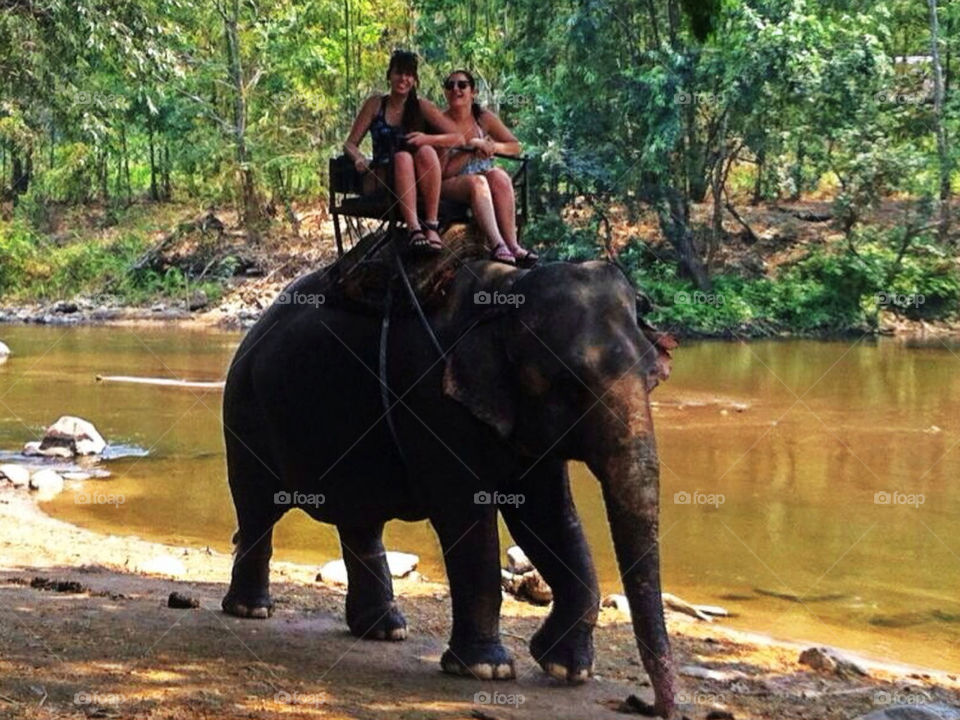 Girls on an elephant in Thailand ..