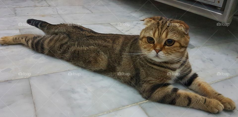 she kills me when she lay down like that