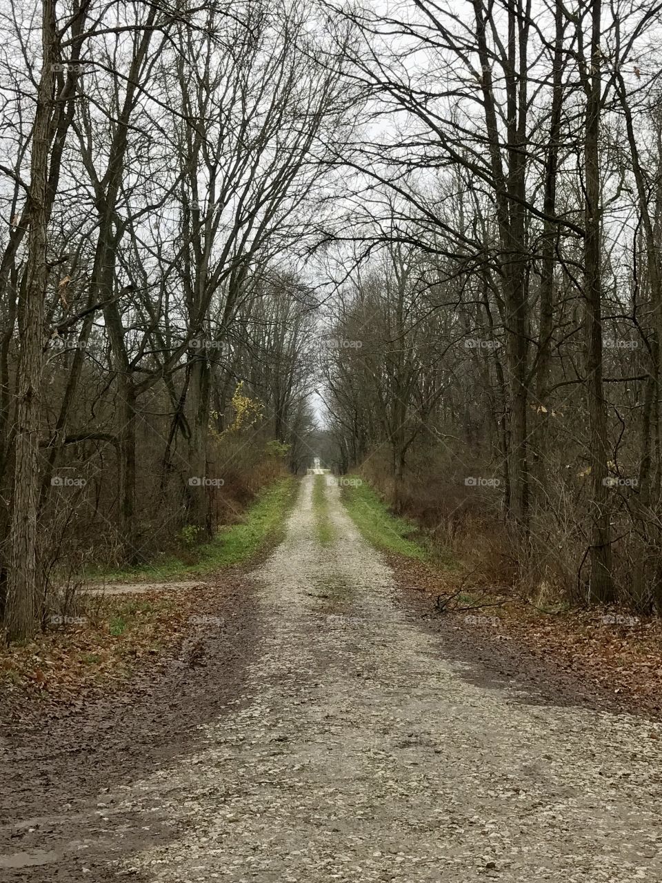 Indiana Hunting Grounds