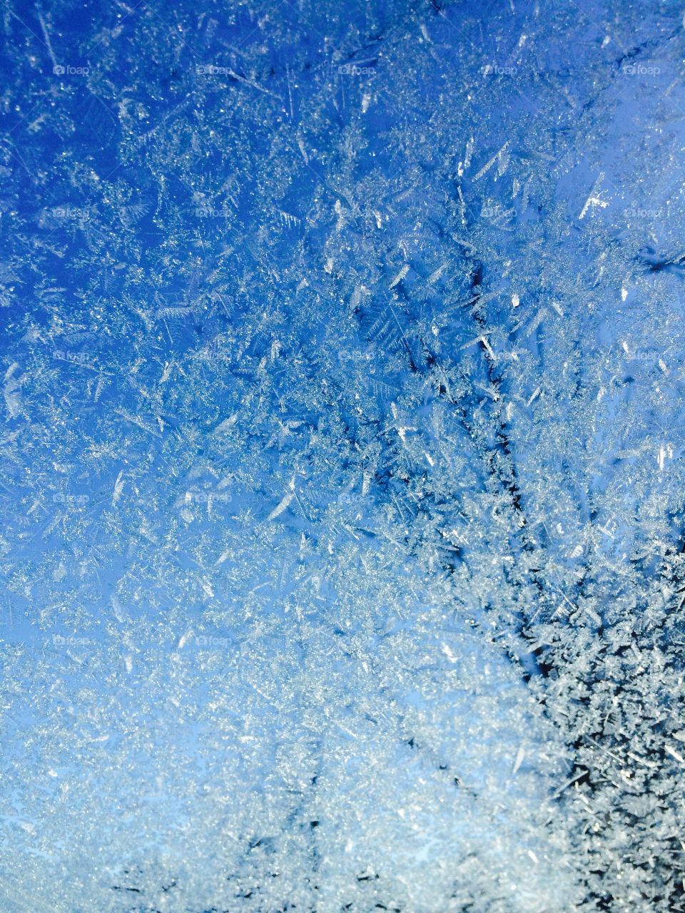 Full frame of frost ice