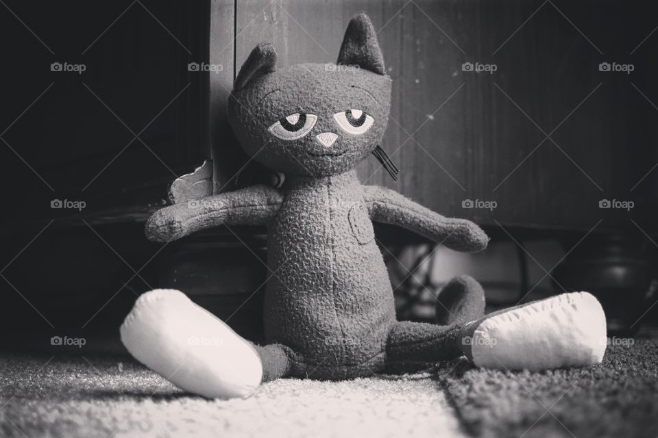 Pete the cat. Pete in bw