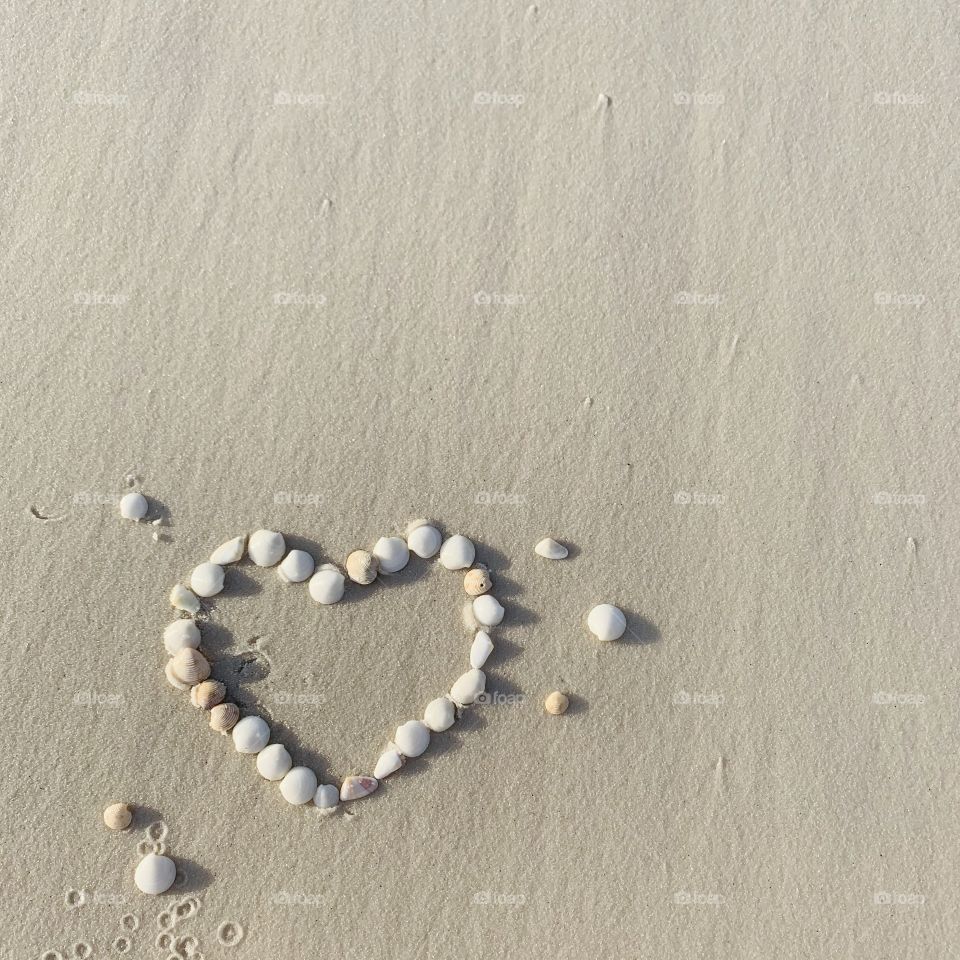 Beach shells heart sand ocean water seashells blank editable graphic