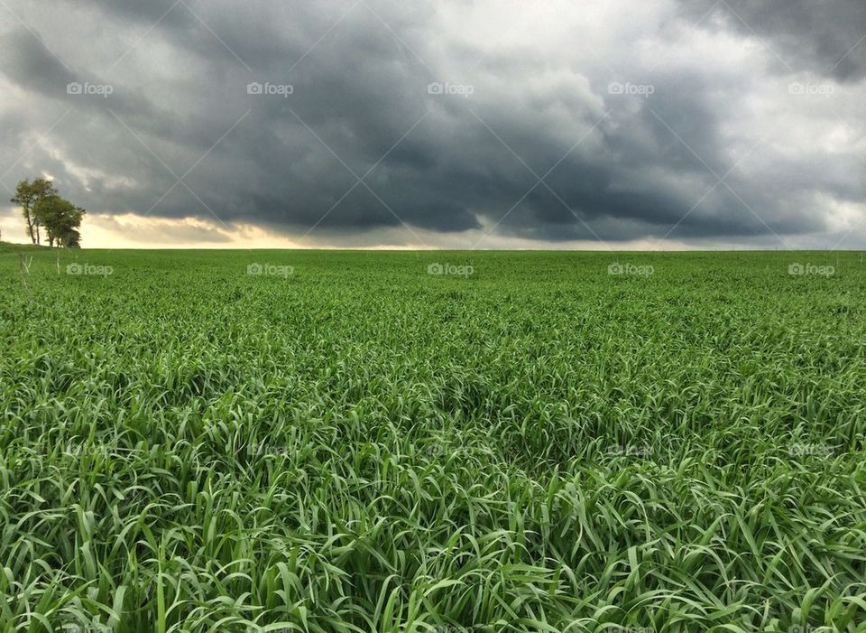 Storm clouds over field