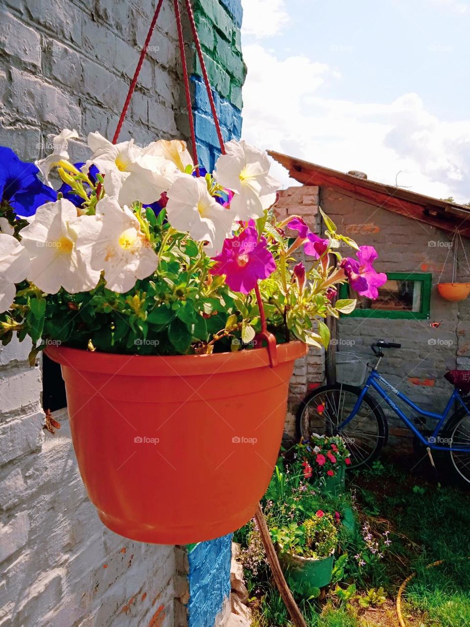 Mobile series plants