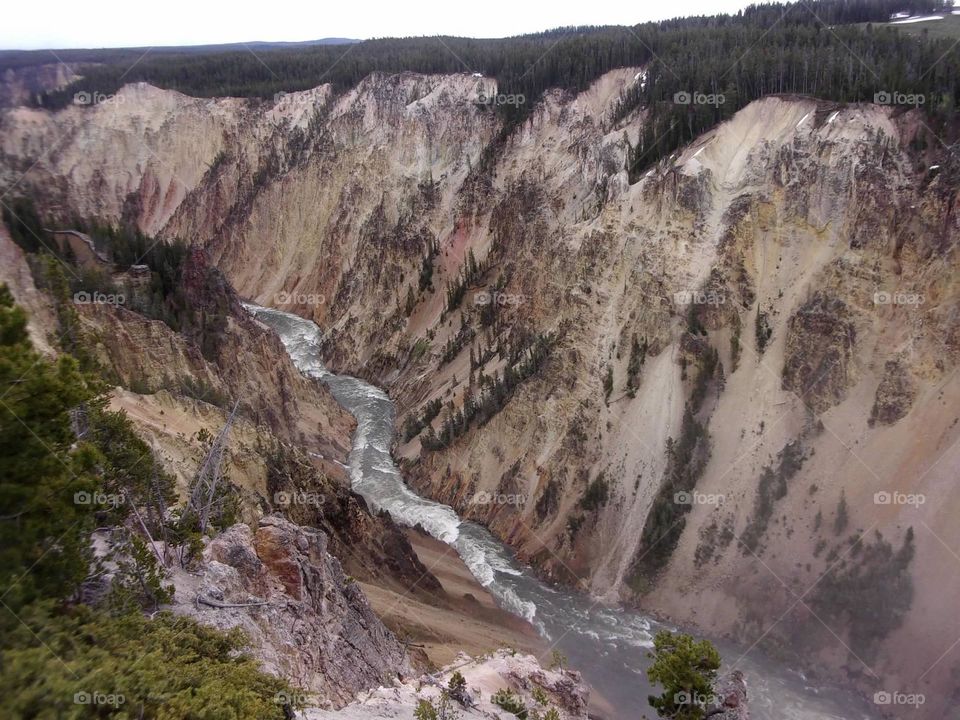 Canyon in Yellowstone national park. 