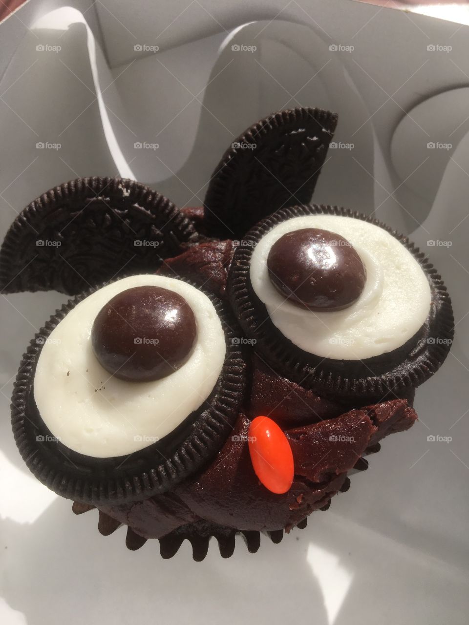 Owl Cupcake 