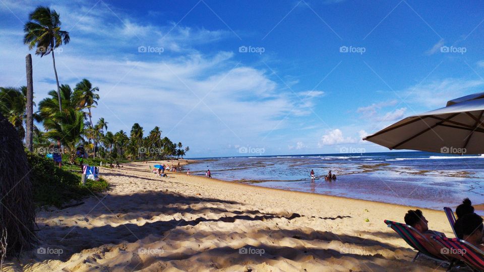 Beautiful landscape of Praia do Forte