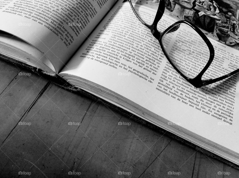 Reading the encyclopedia