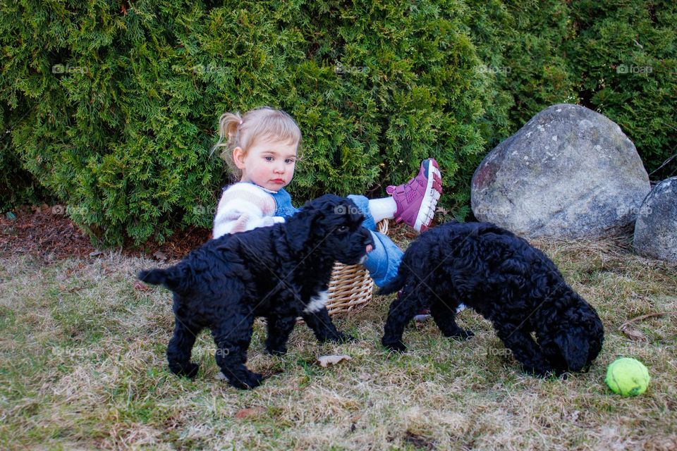 First real springday,April 1 . little girl loves to play with the puppies in the garden .