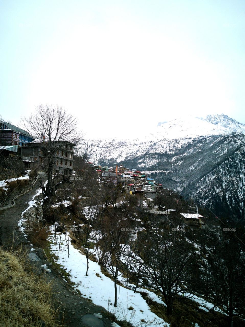 village view in winter