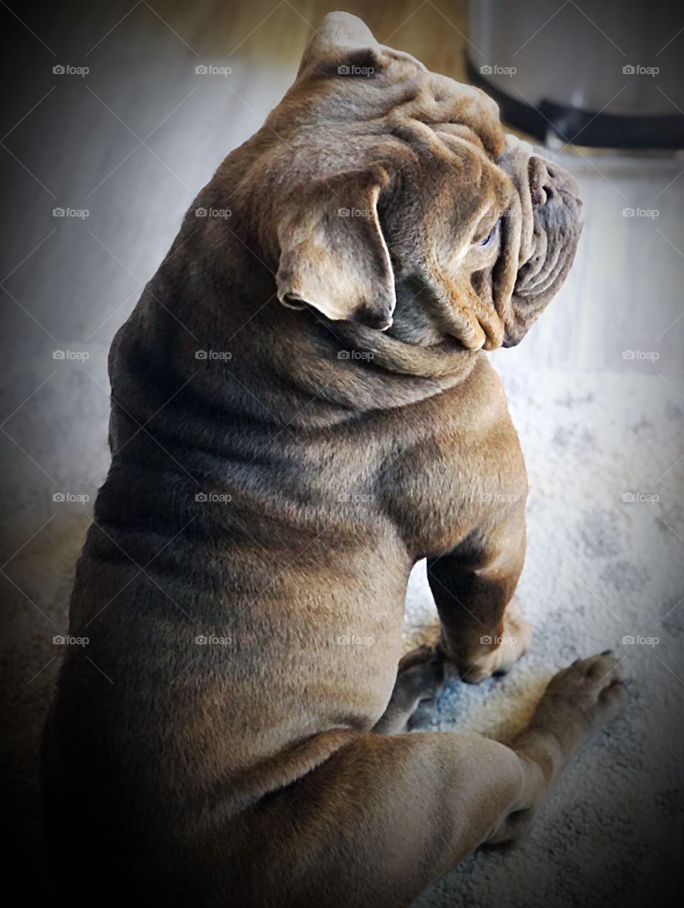 Sitting and relaxing