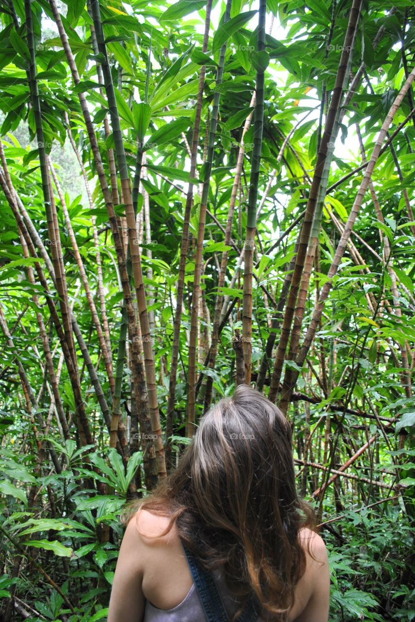 Looking at the growth in Hawaii.