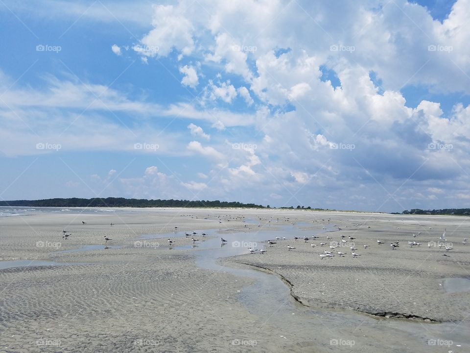 Low Tide